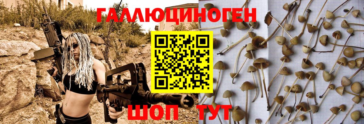 Кемерово  Галлюциногенные грибы GOLDEN TEACHER  Вход с VPN 